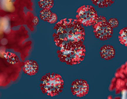 Foundation Operational Updates: COVID-19